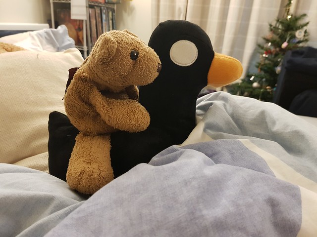 9 Duvet Seas