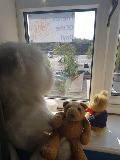 8 Friends