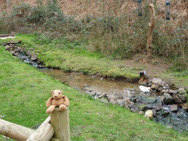 2e Waterfall