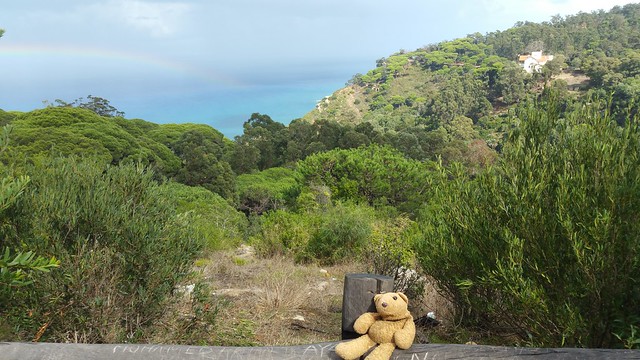 6 Tangier Rainbow