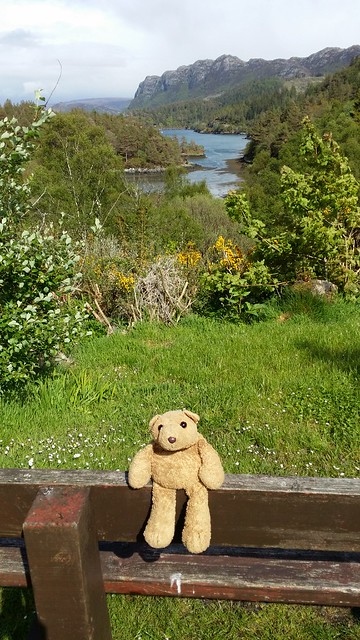 Scotland 15