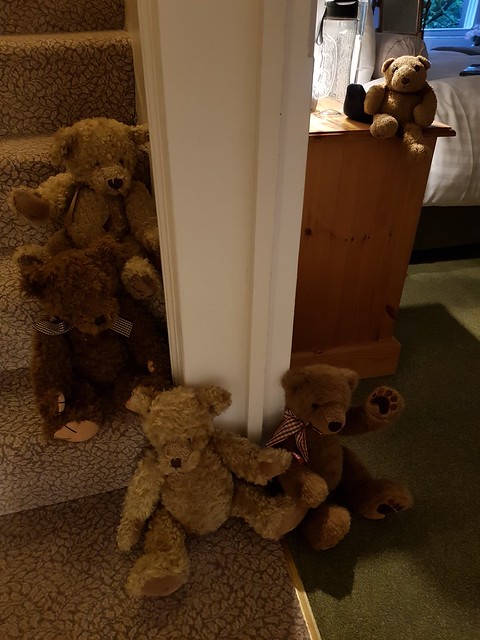 11 Bears