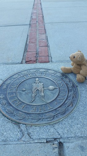 Boston 7