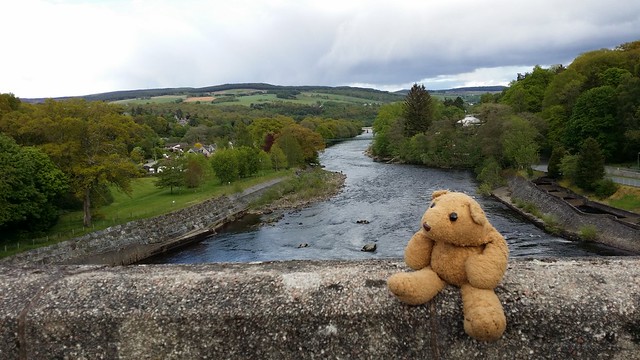 Scotland 6