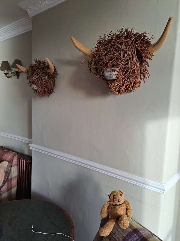 1 Yaks