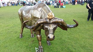 20140824_130053