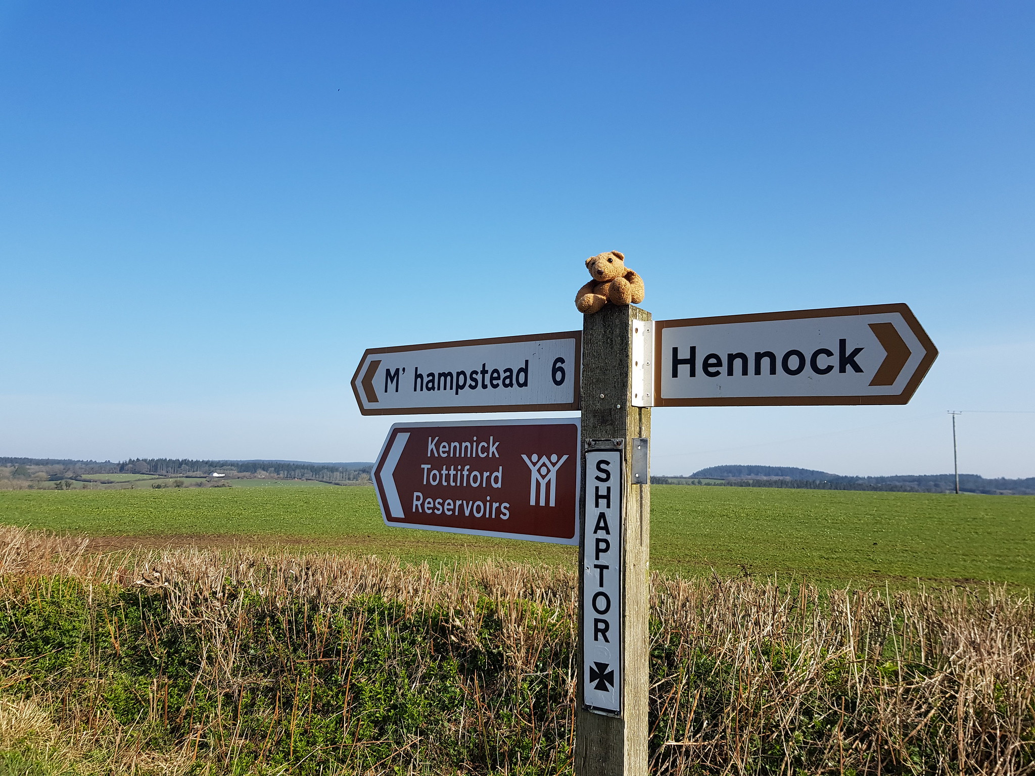 Stickwick 1