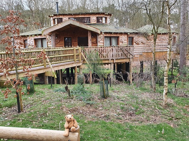 2f Treehouse