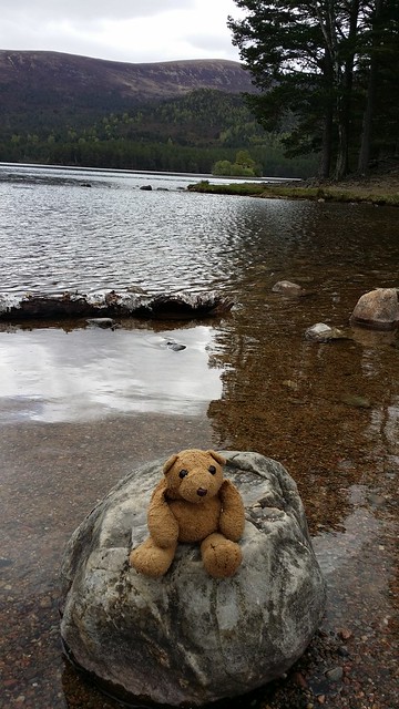 Scotland 8