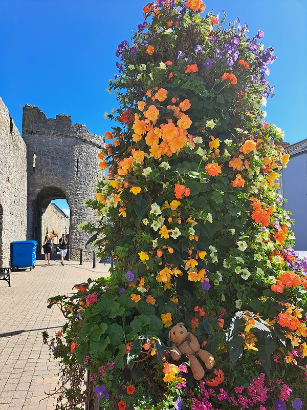 2 Tenby Flowers