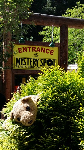 1 Mystery Spot