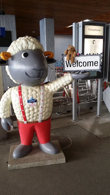 9 Welcome to Zermatt