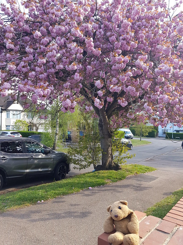 Radlett 8