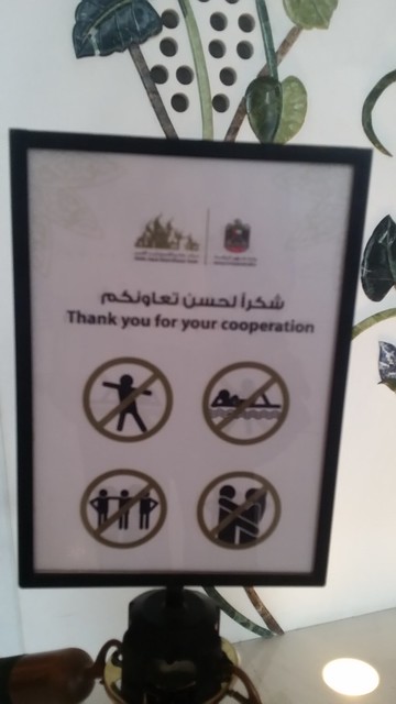 Abu Dhabi 8