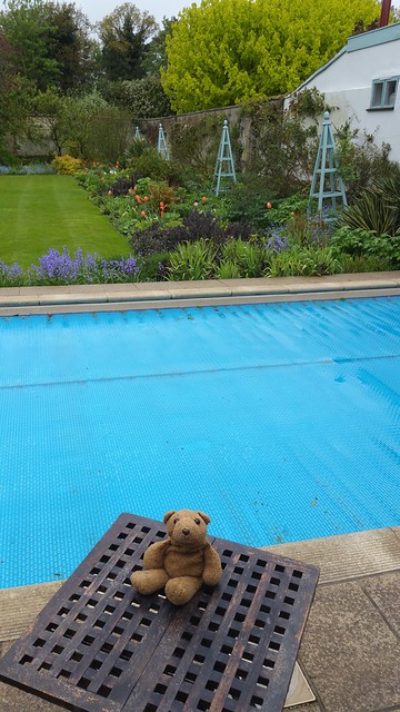 8 The Pool