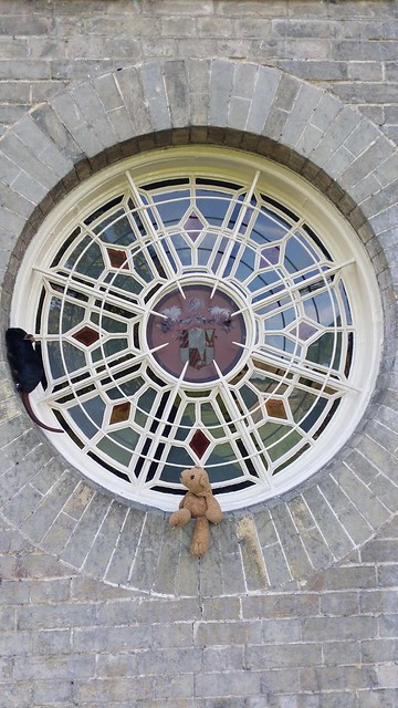 Cavendish 6