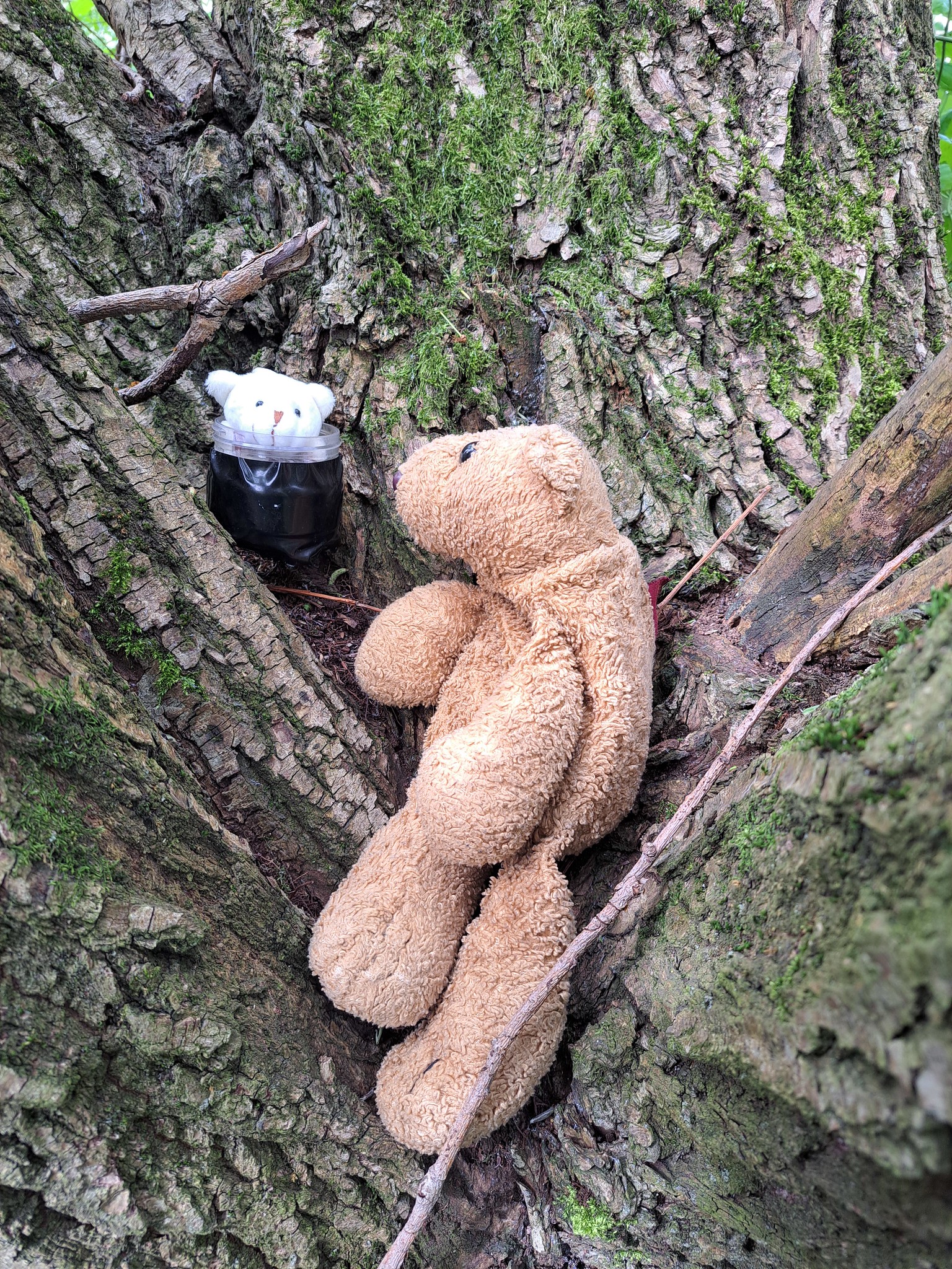 Caching 9
