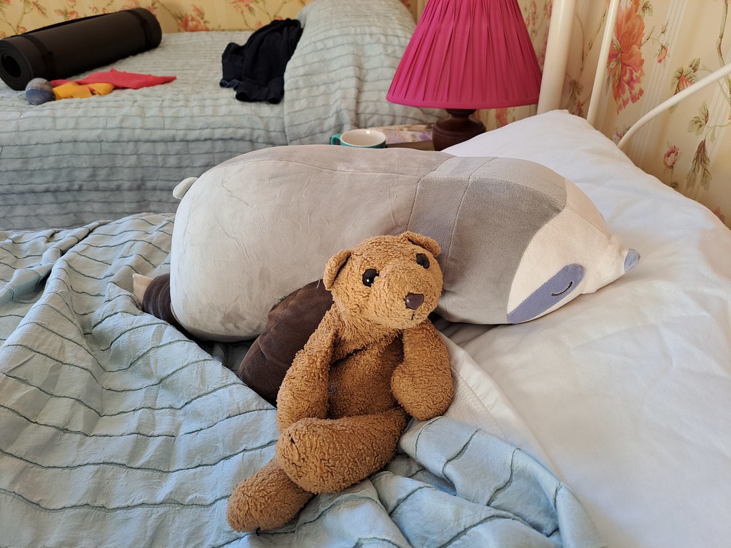 1 Snoozing