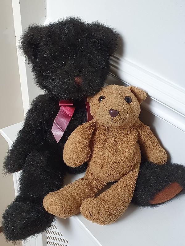 14 Bear