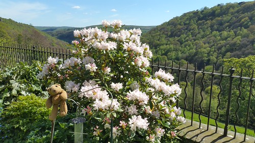 Lumb Bank 4