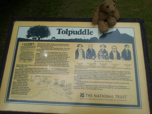 Tolpuddle 4
