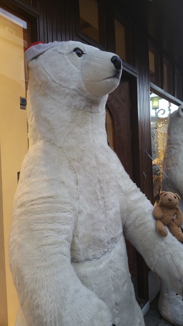 11Bear