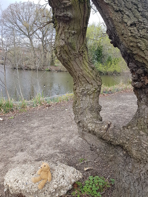 Nature 3