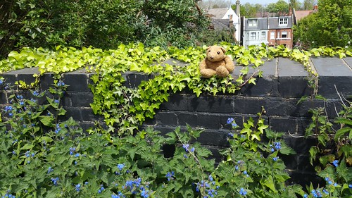 Parkland Walk 4