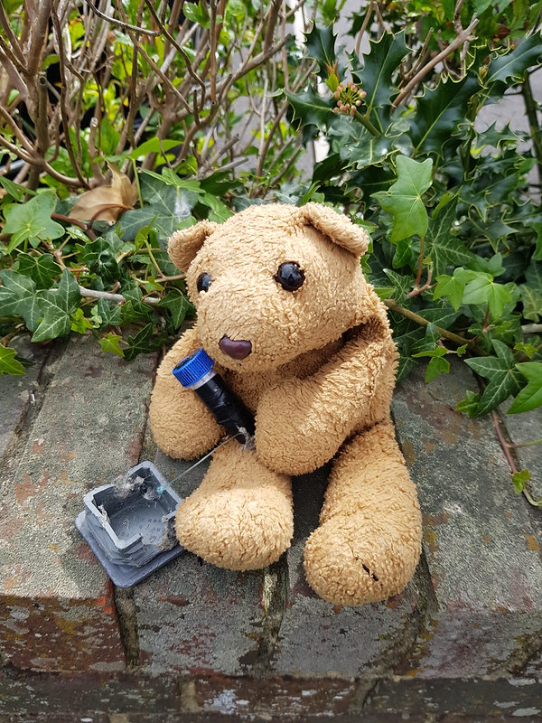 Cache 1