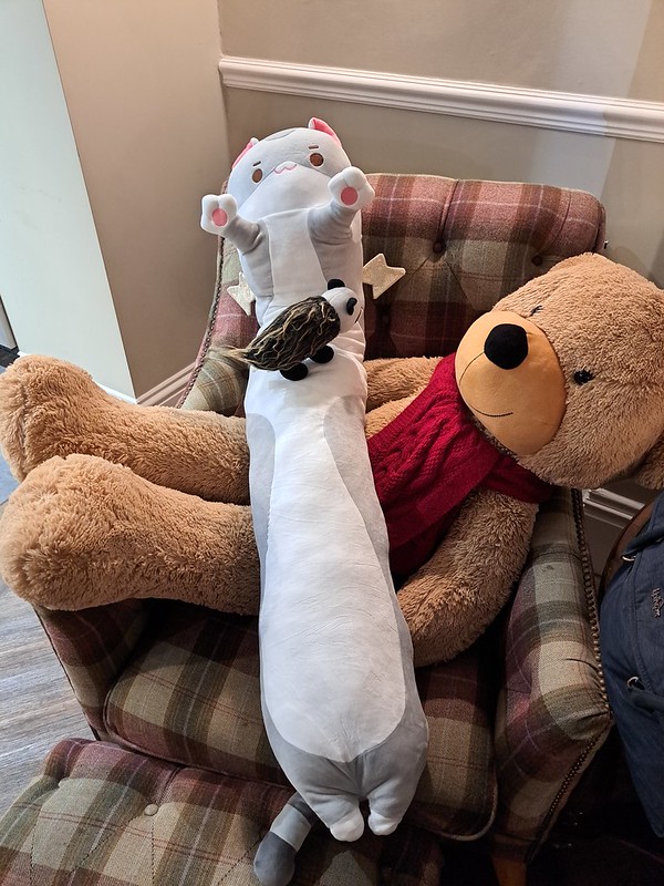 4 New Pals