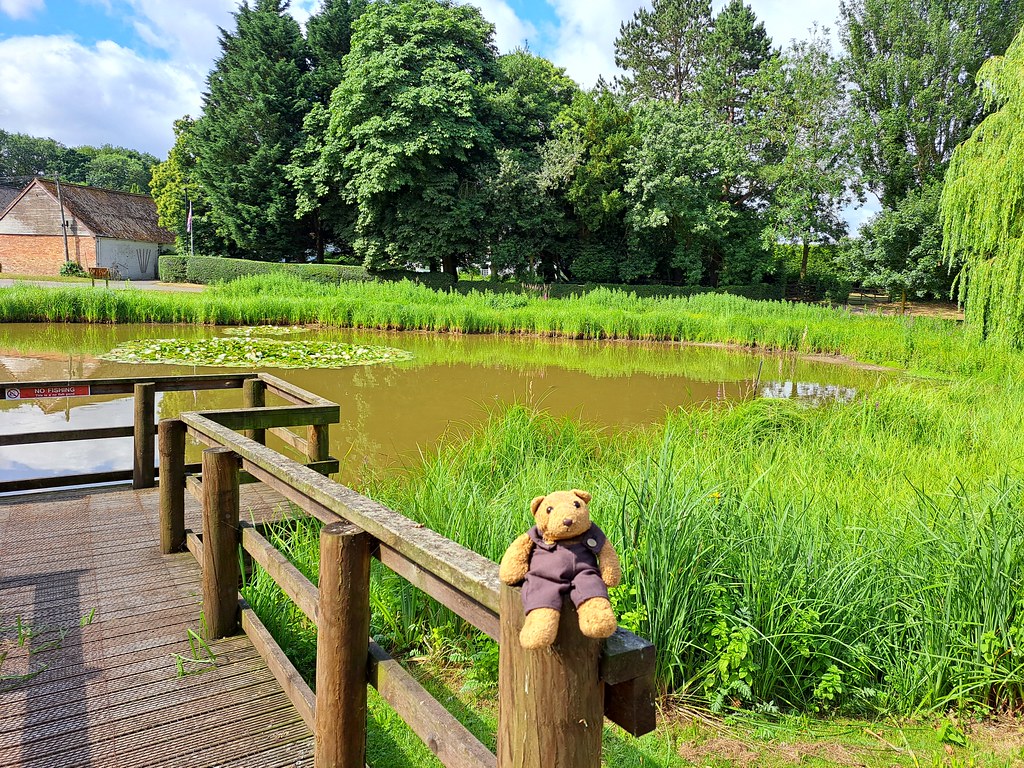 9 Pond