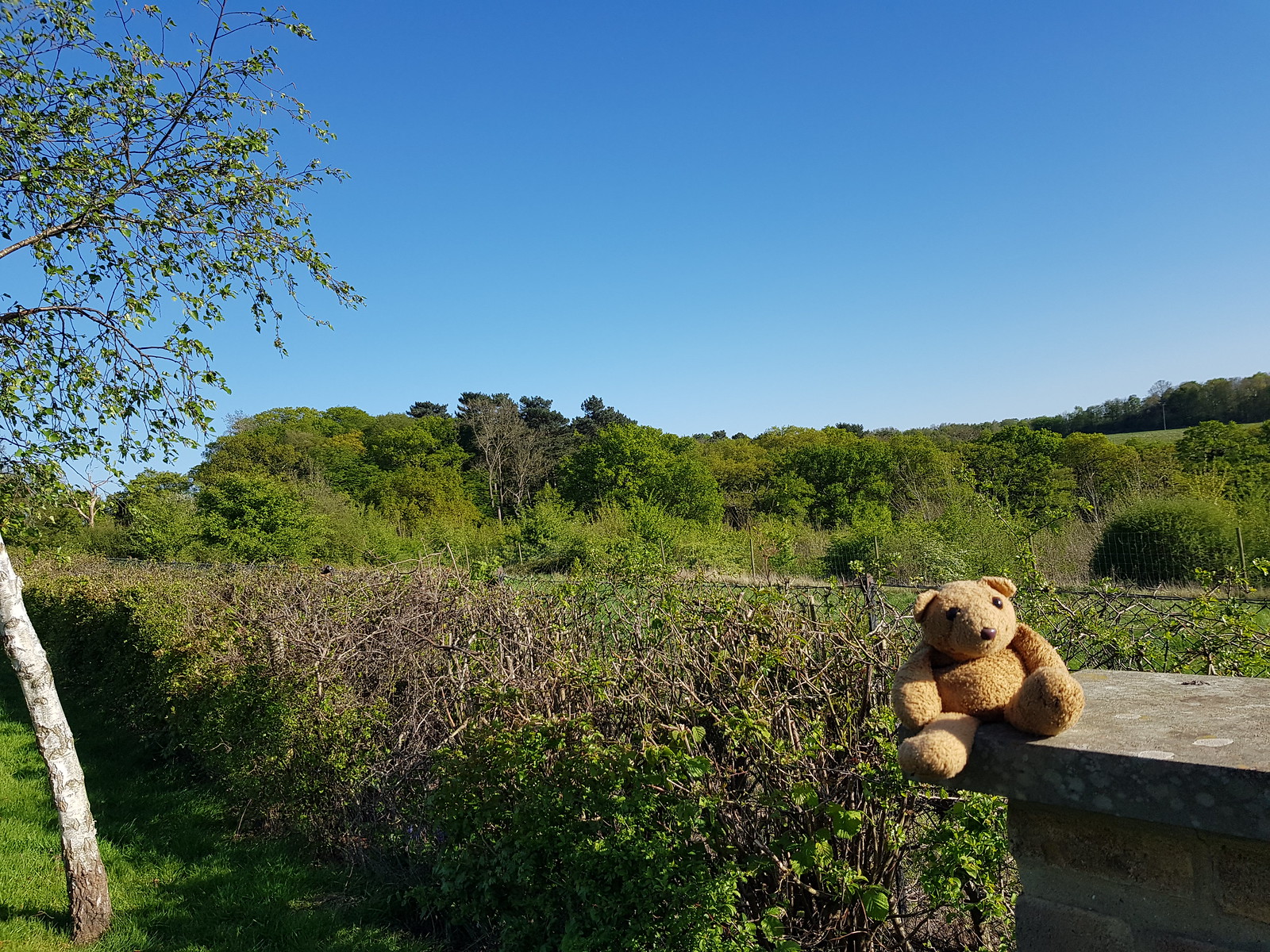 Caching 1