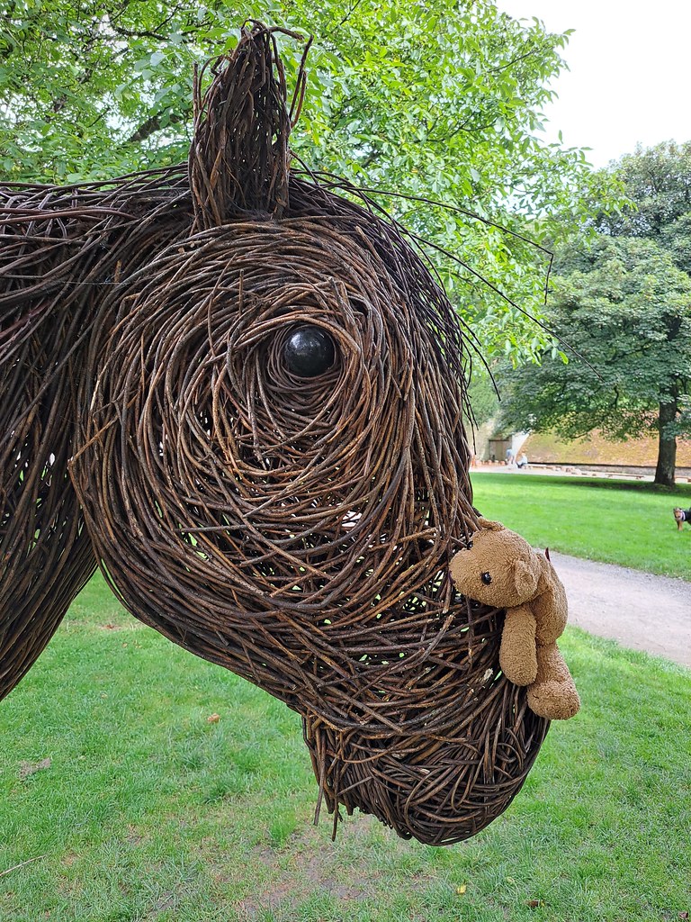 9 Horse
