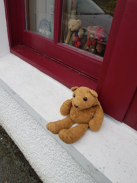 7 Window Bears