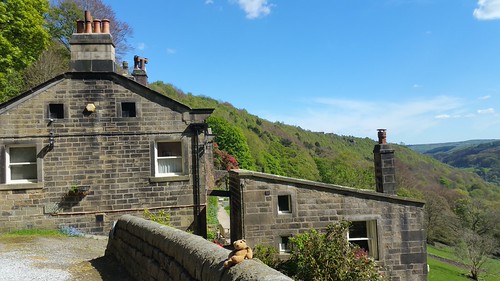 Lumb Bank 1