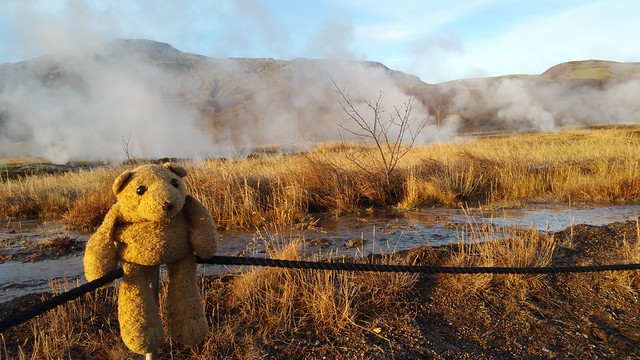 4 Steamy