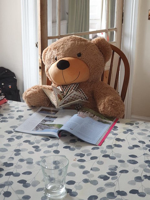 4 Bear Book