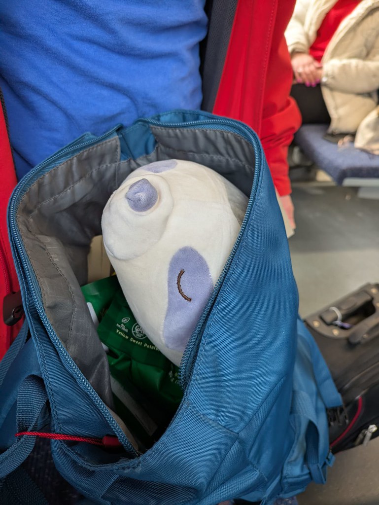 Snoozy Bag
