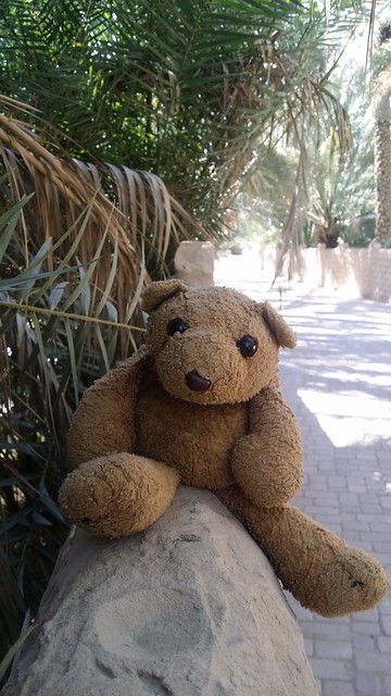 Abu Dhabi 14