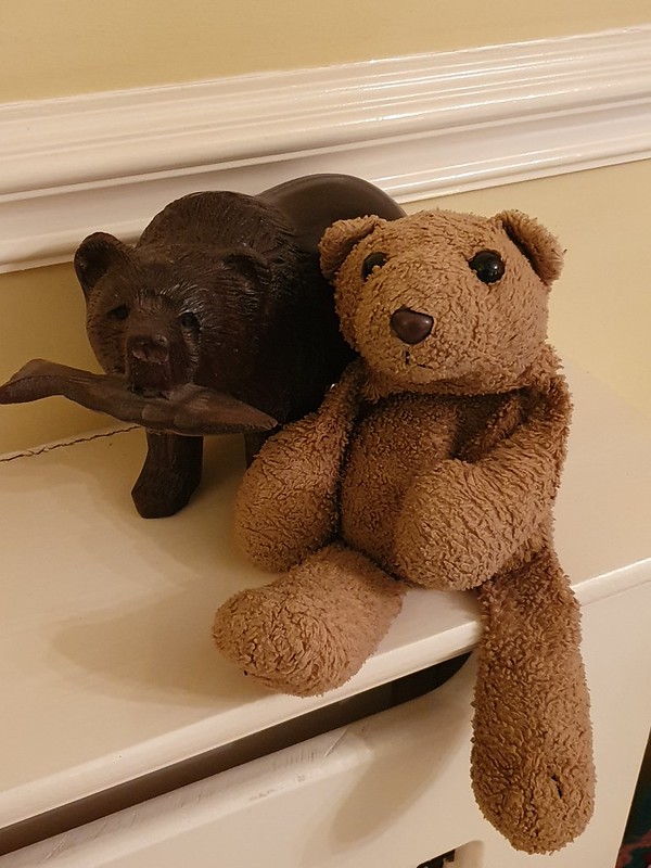 11 Fish Bear