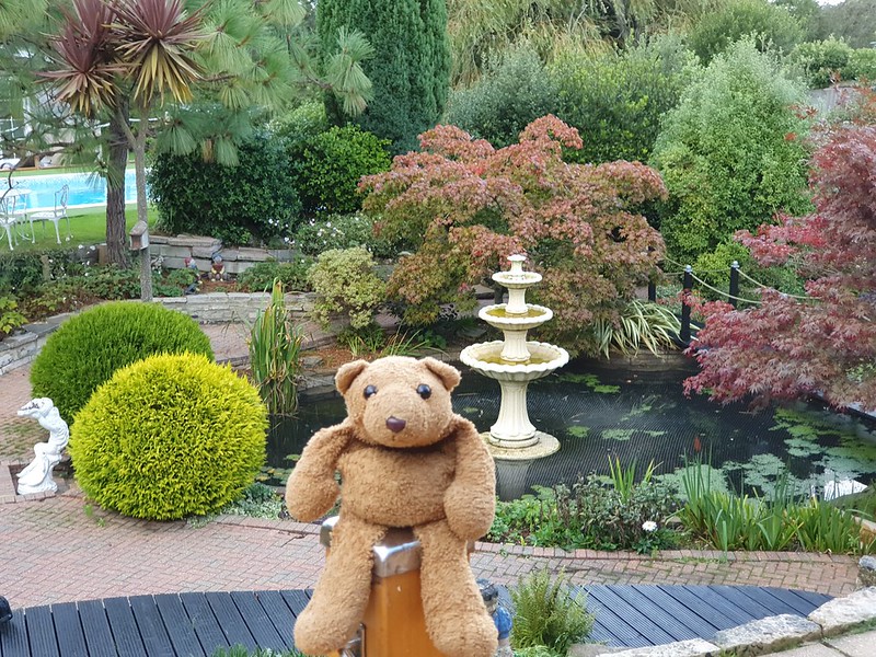 1 Garden