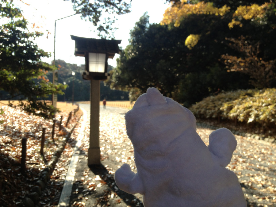 3 (Meiji Jingu Shrine) 3 (Meiji Jingu Shrine)