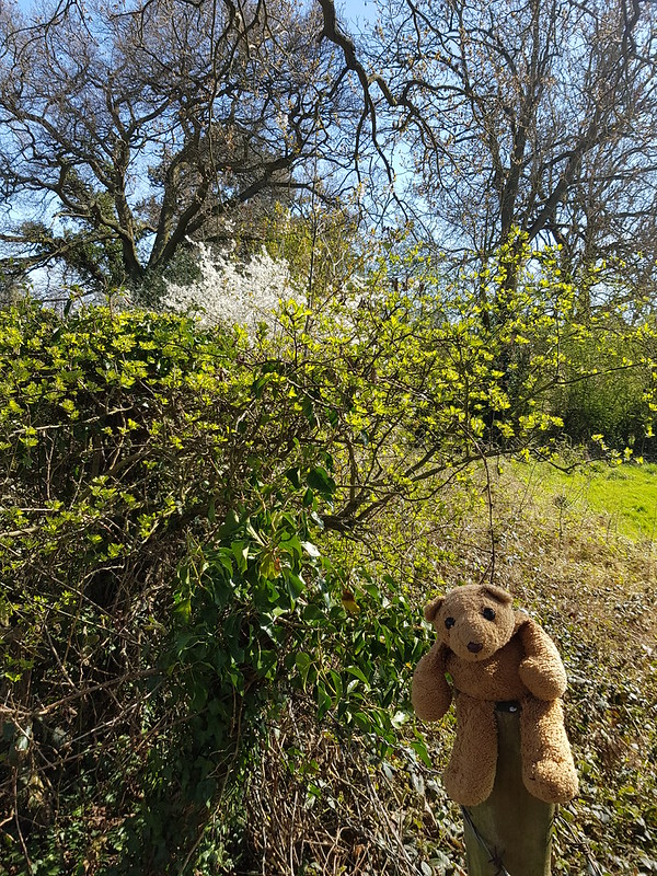 1 Lovely Day