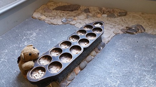 8 Mancala