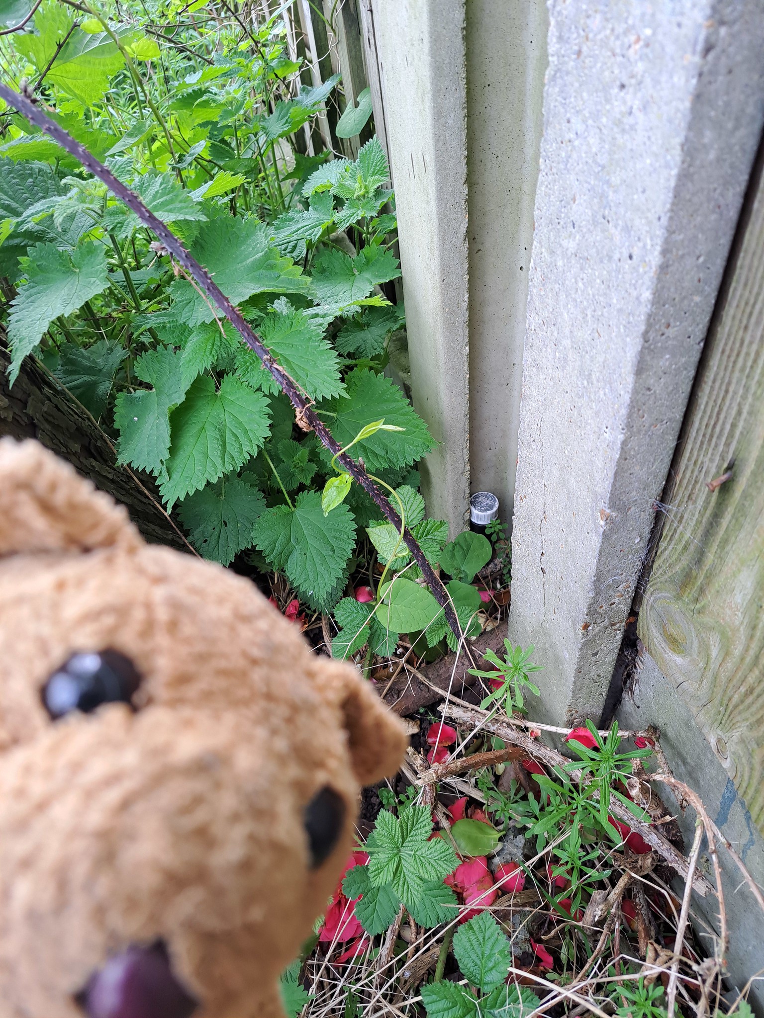 Caching 1