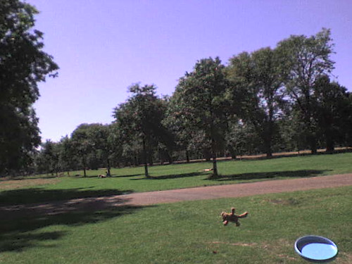 7 Frisbee Doom