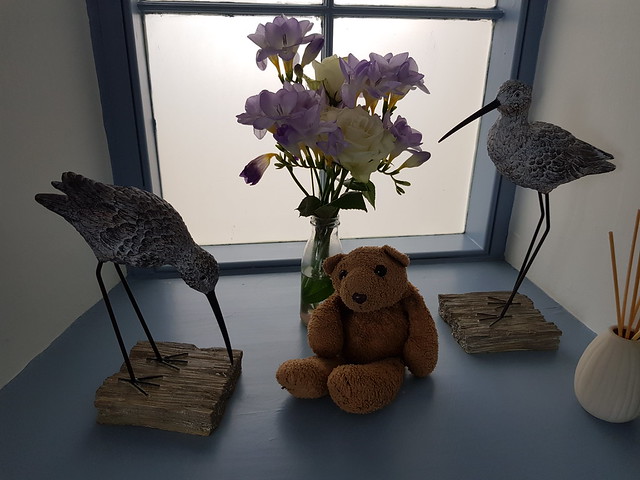 9 Birds