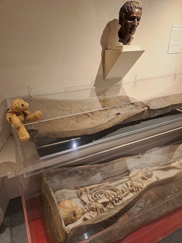 Museum 3