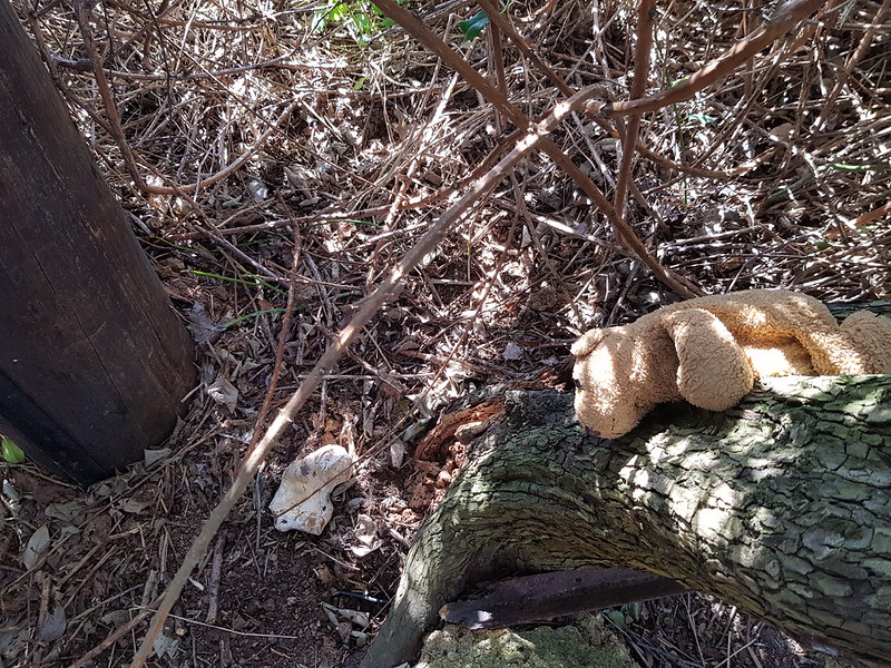 2 First Find