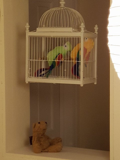 3 Parrots